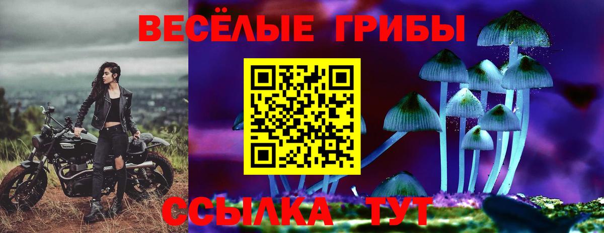 Псилоцибиновые грибы Magic Shrooms Балтийск