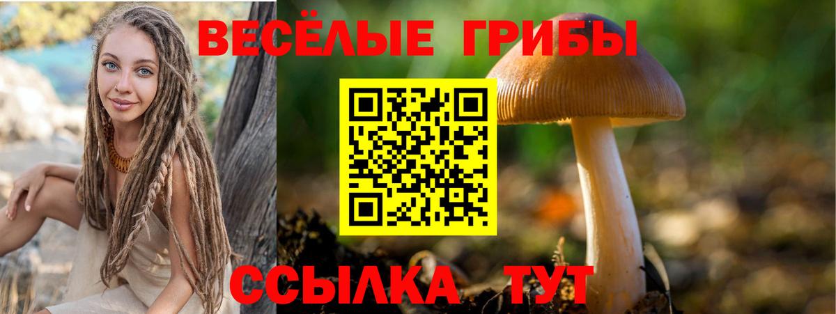 Балтийск  Галлюциногенные грибы Psilocybe  наркотики  Вход с VPN 