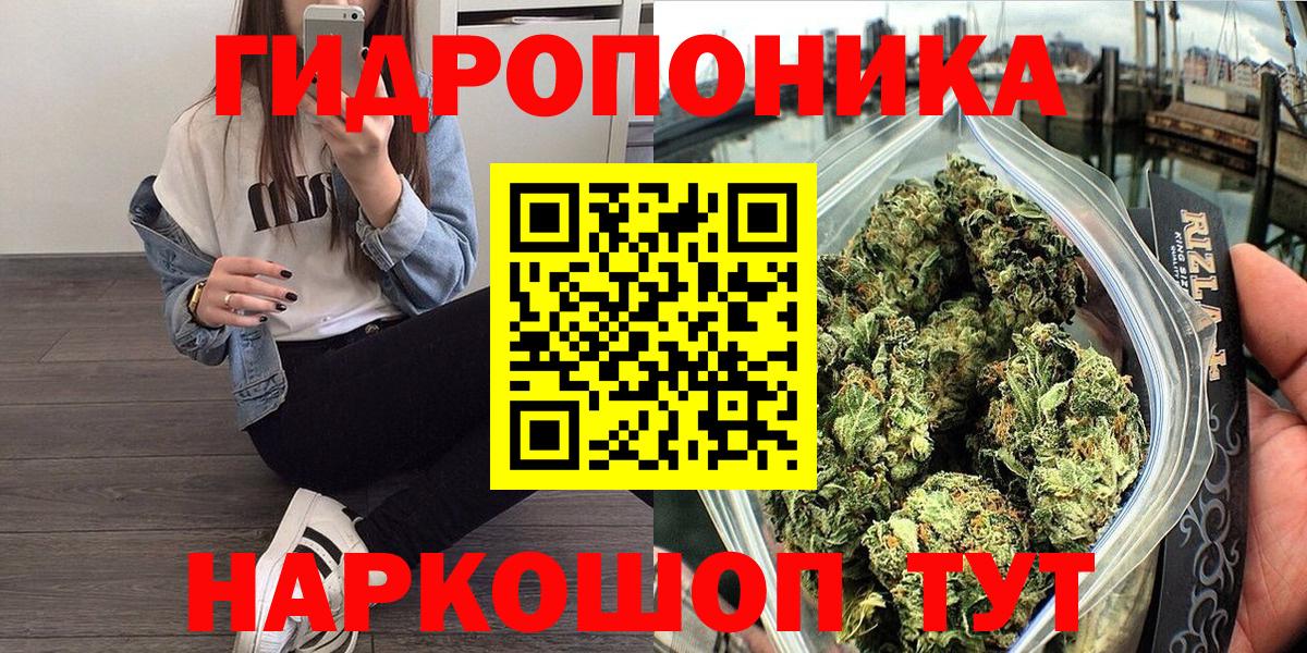 Конопля THC 21%  Балтийск  Конопля LSD WEED  Бошки Шишки LSD WEED 