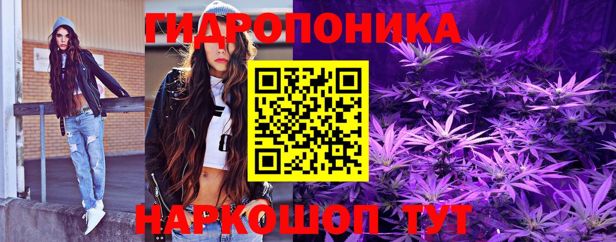 Бошки Шишки конопля  Конопля сатива  Балтийск  Вход с VPN  Конопля Ganja 